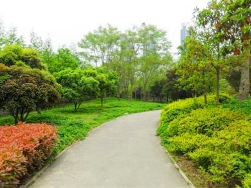 清洁服务在现在网络社会如何快速成长