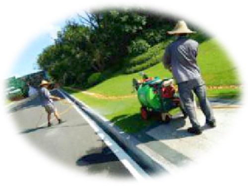 绿化养护及其注意事项