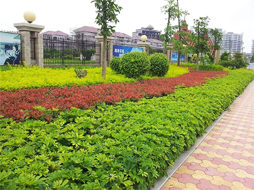 绿化养护工作安全要点