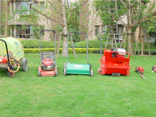 苗木种植销售许可证怎么办理？