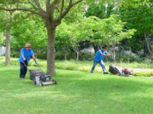 草坪园林绿化设计与施...