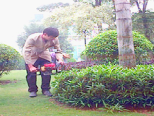 广东园林绿化设计与施...