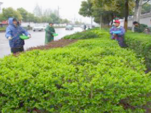 园林绿化设计与施工